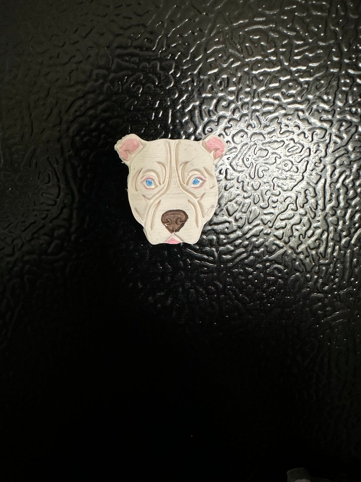 Pit Bull Magnets