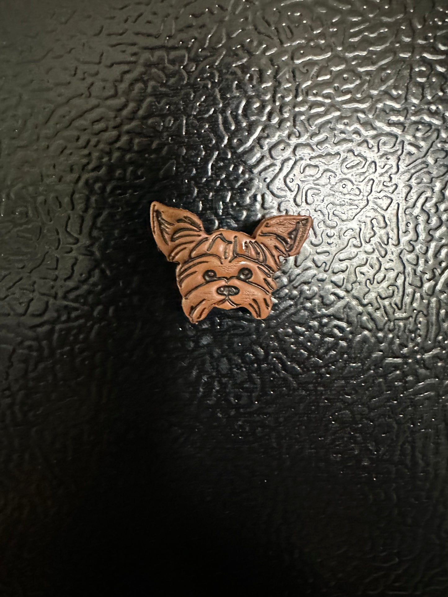 Terrier