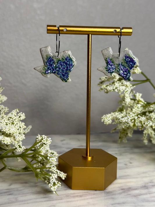 Texas Blue Bonnets