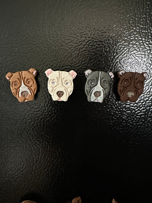 Pit Bull Magnets